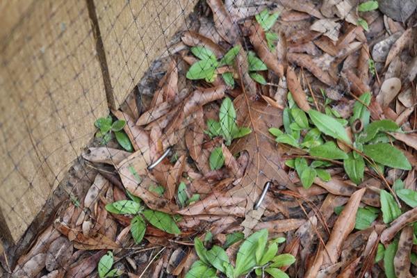 Snake-Prevention-Fence-Miami-FL