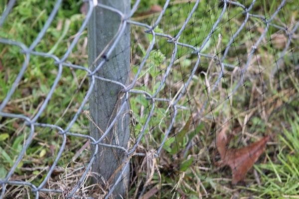 Deterring-Snakes-Lake-Charles-LA