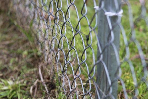 Snake-Prevention-Fence-Lake-Charles-LA